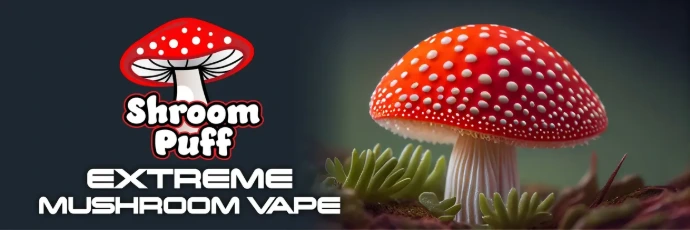 Legal THC Iowa City – Urban Fuel Express - Iowa City